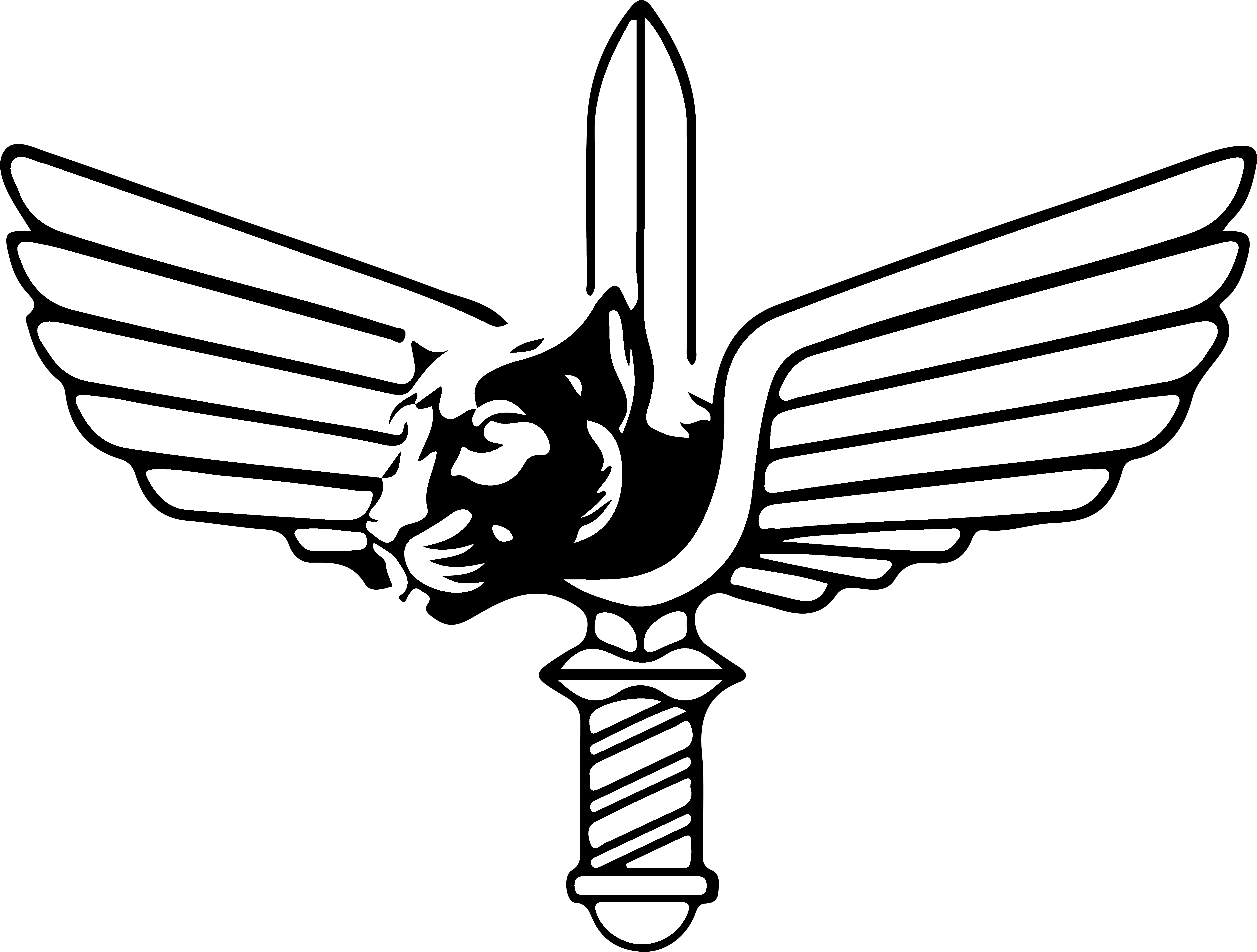 אתר למידה גדוד פנתר